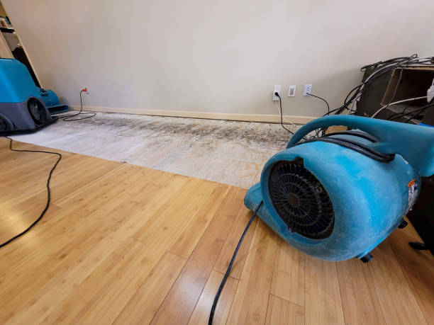 Professional Flood Damage Cleanup technician working in Sun Valley, NV